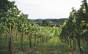 Wein&Gästehof Erlacher