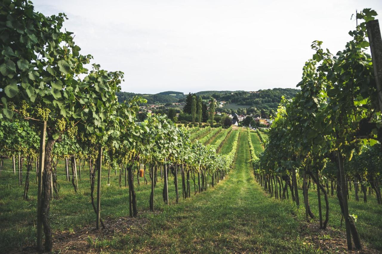 Wein&Gästehof Erlacher Hartmannsdorf Exterior foto